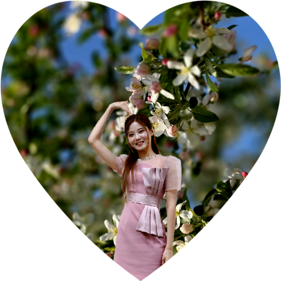 Recent activity shot of Bae Ahyeon