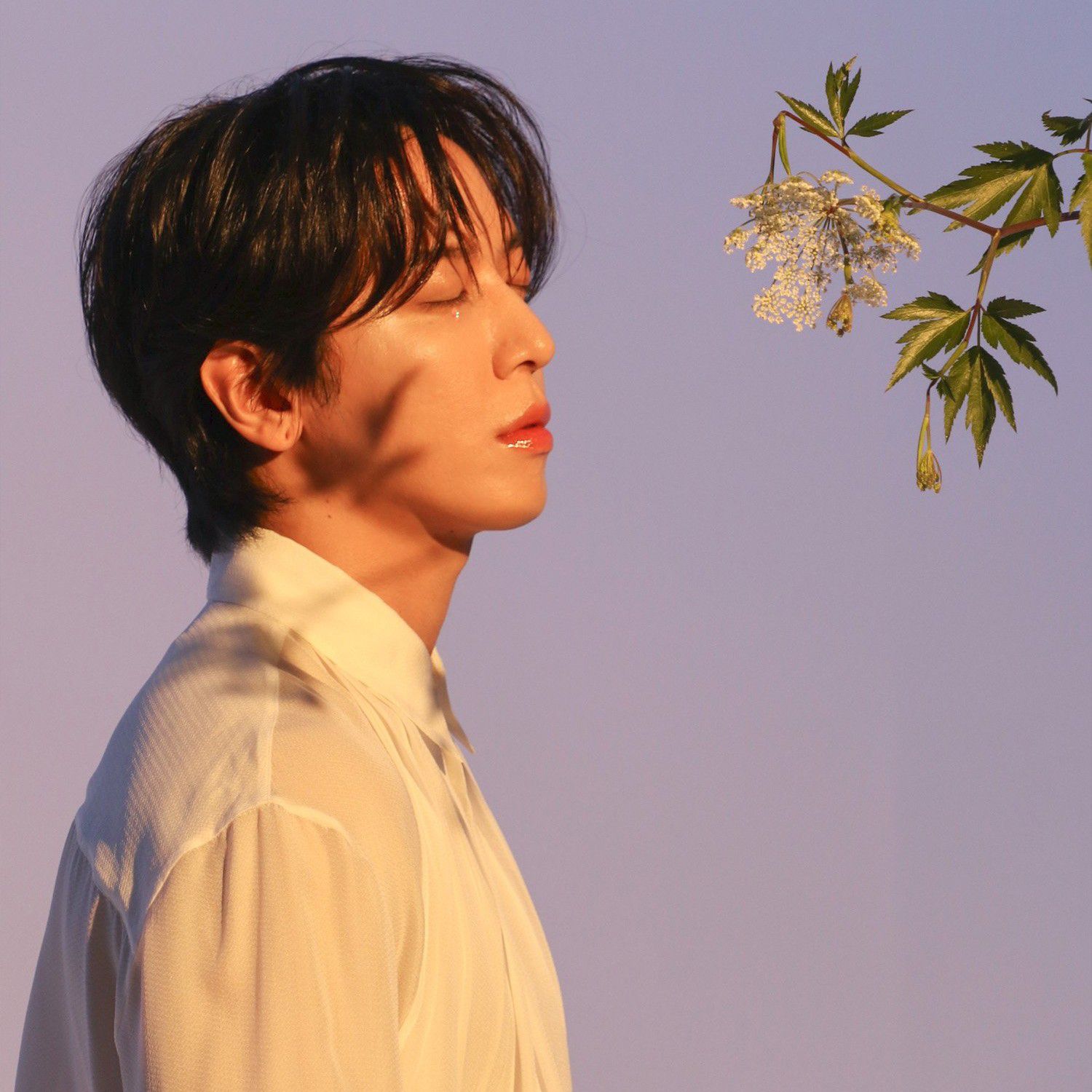 郑容和的幕后花絮