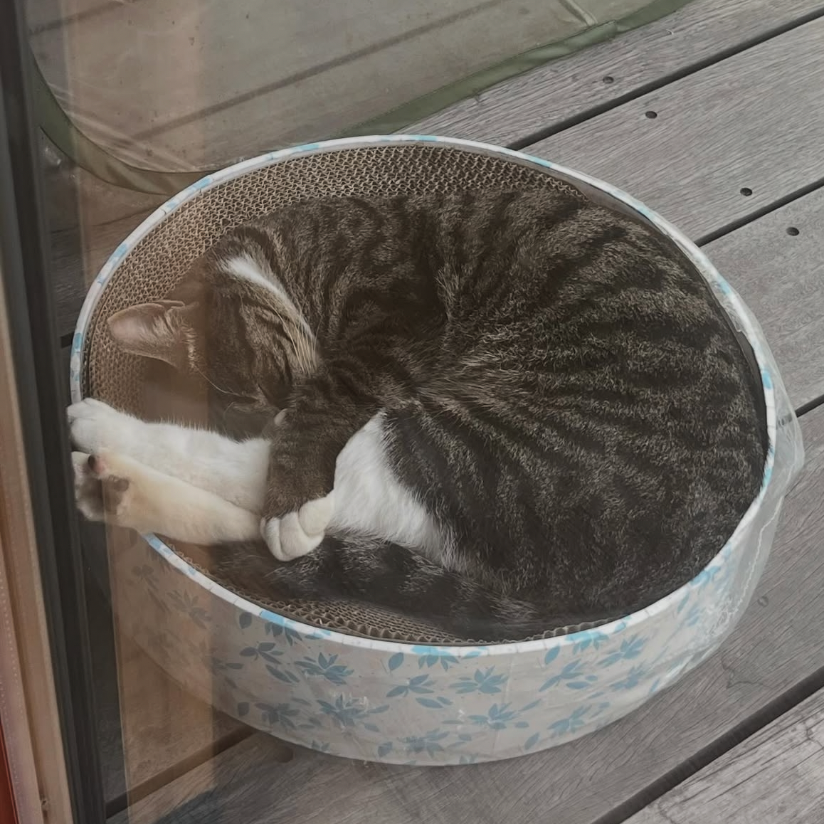 Recent activity shot of Kim Heeae