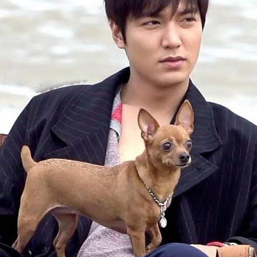이민호 팬이 찍은 순간