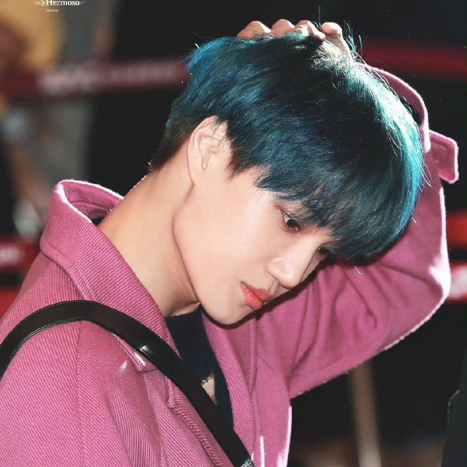 ファンが撮影したカイの瞬間