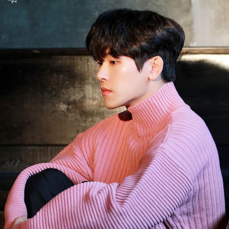 Latest photo of Hoya