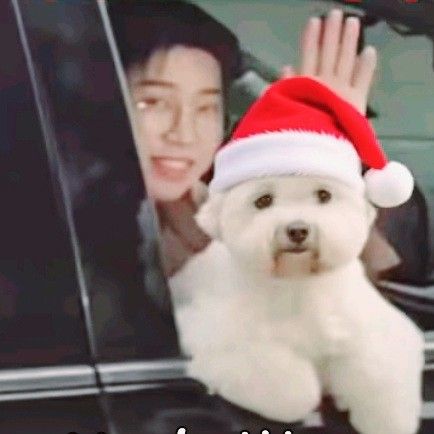 イム・ヨンウンの最近の活動ショット