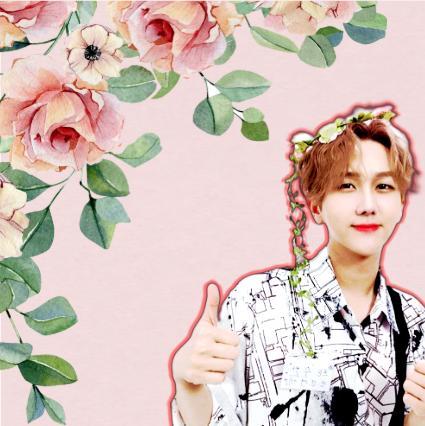 김수찬의 비하인드 컷