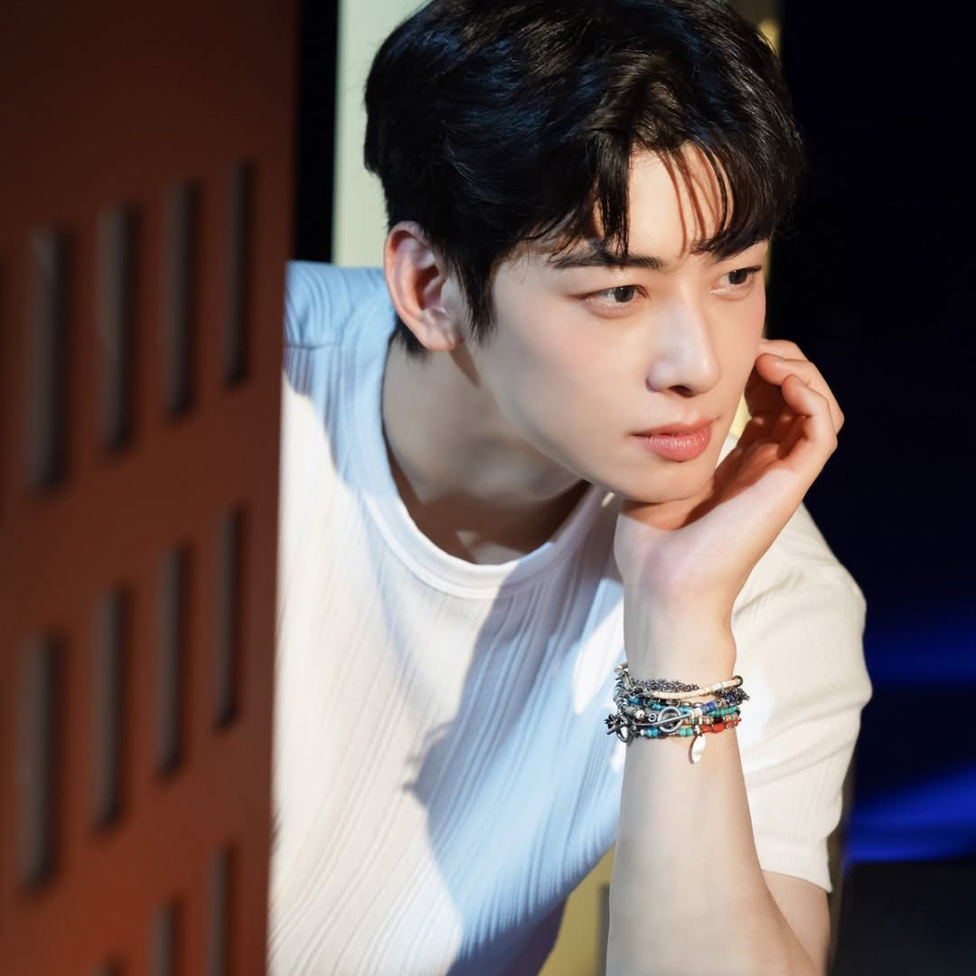 Behind-the-scenes cut of Cha Eunwoo