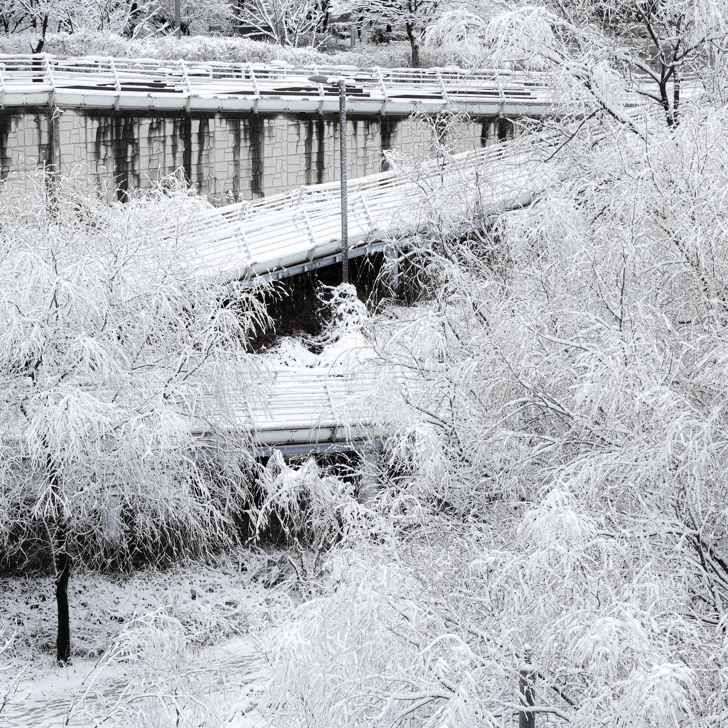 Recent activity shot of Joodoonge