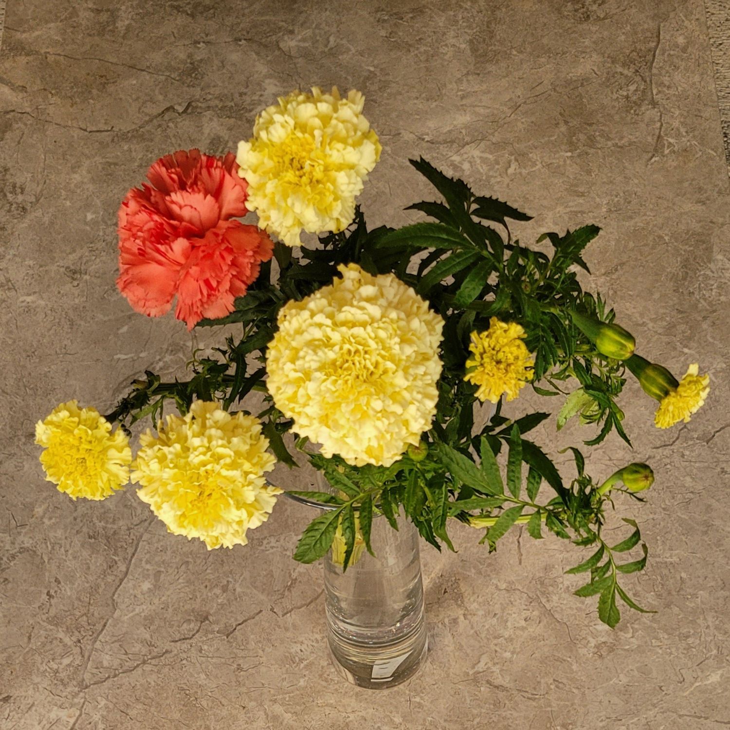 Momen yang diabadikan oleh penggemar Hong Jiyoon