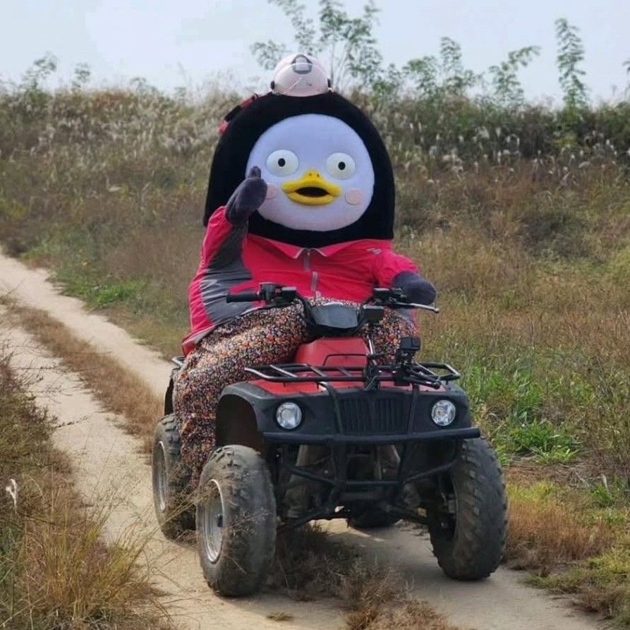 Foto kegiatan terbaru dari Pengsoo