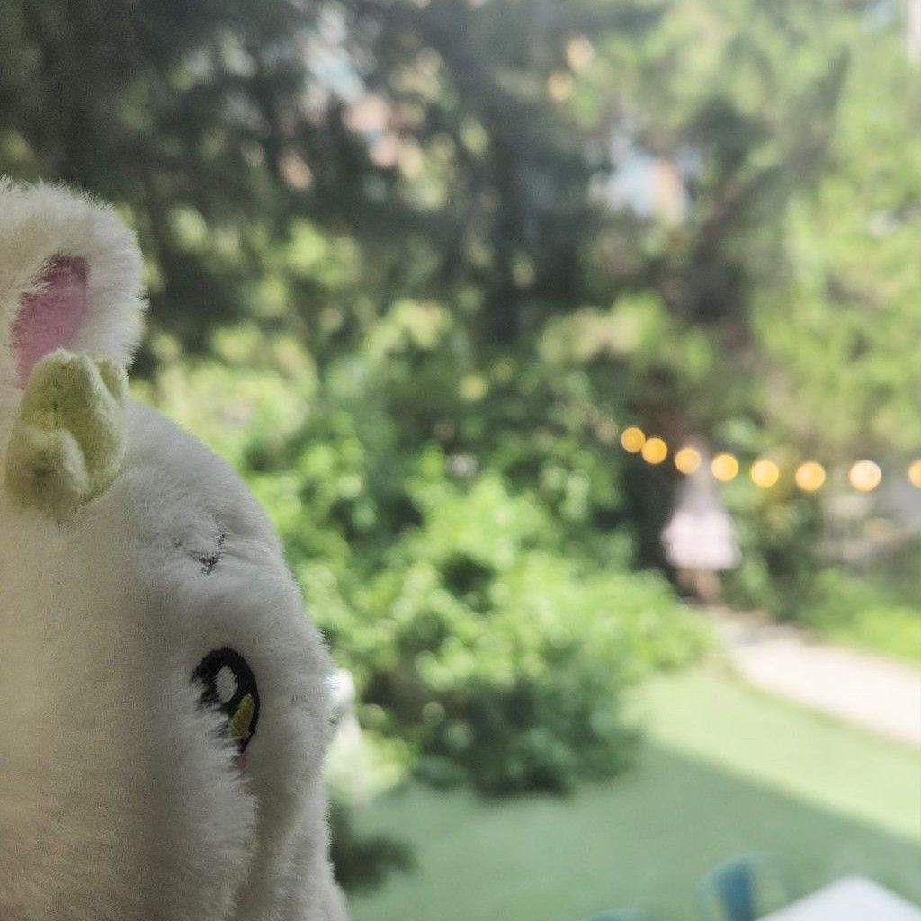 A moment captured by a fan of Park Eunbin