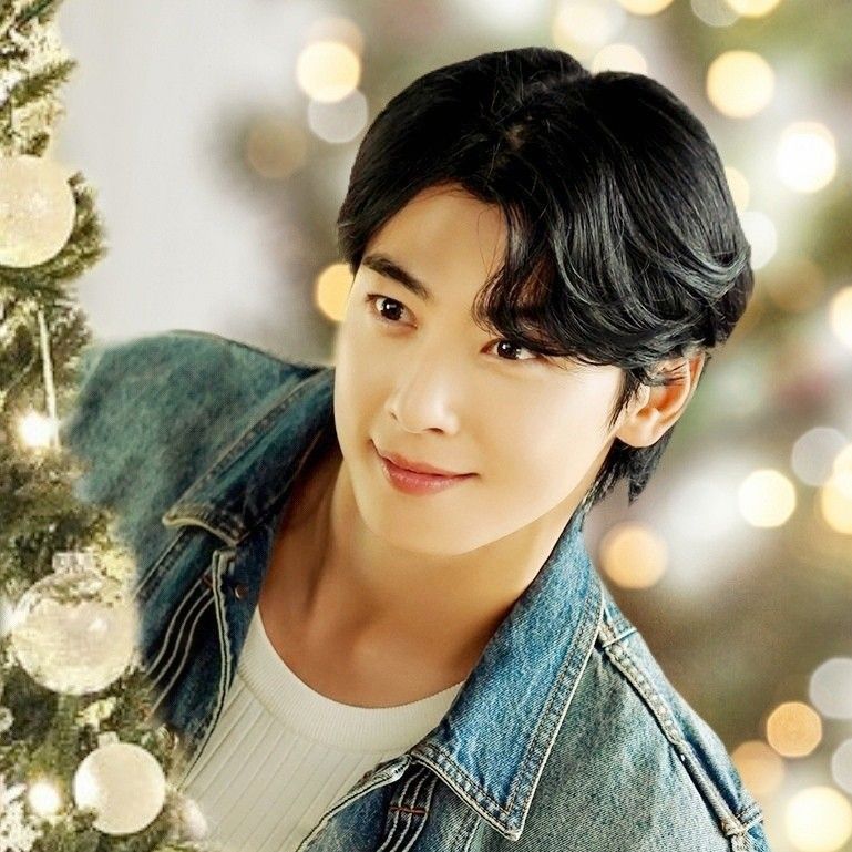 A moment captured by a fan of Cha Eunwoo