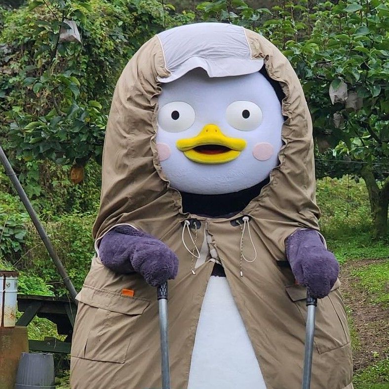 Foto terbaru dari Pengsoo