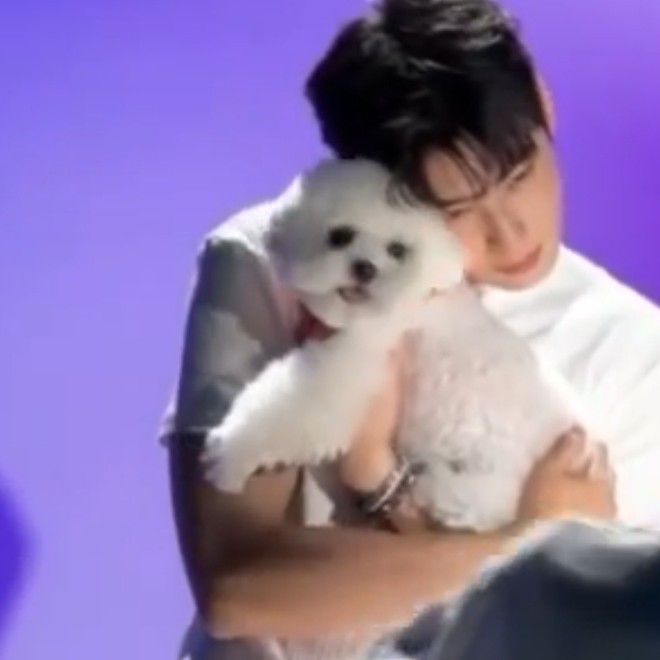 チャ・ウヌのビハインドカット