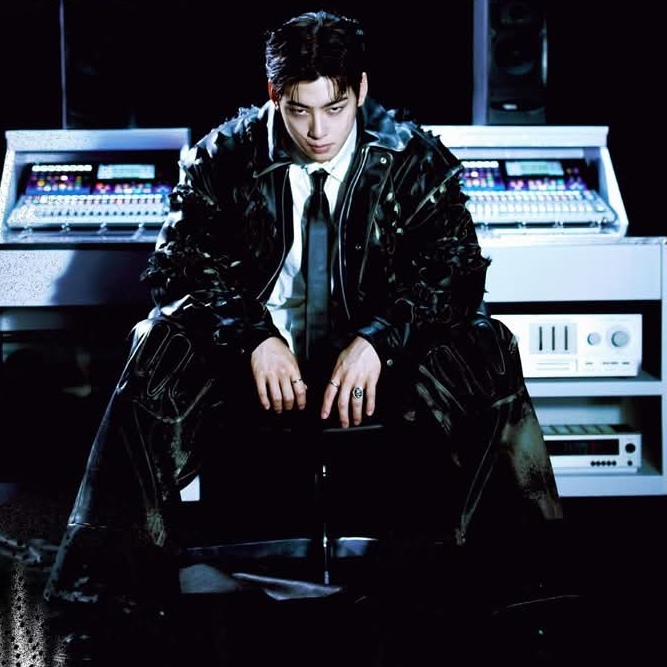 A moment captured by a fan of Cha Eunwoo