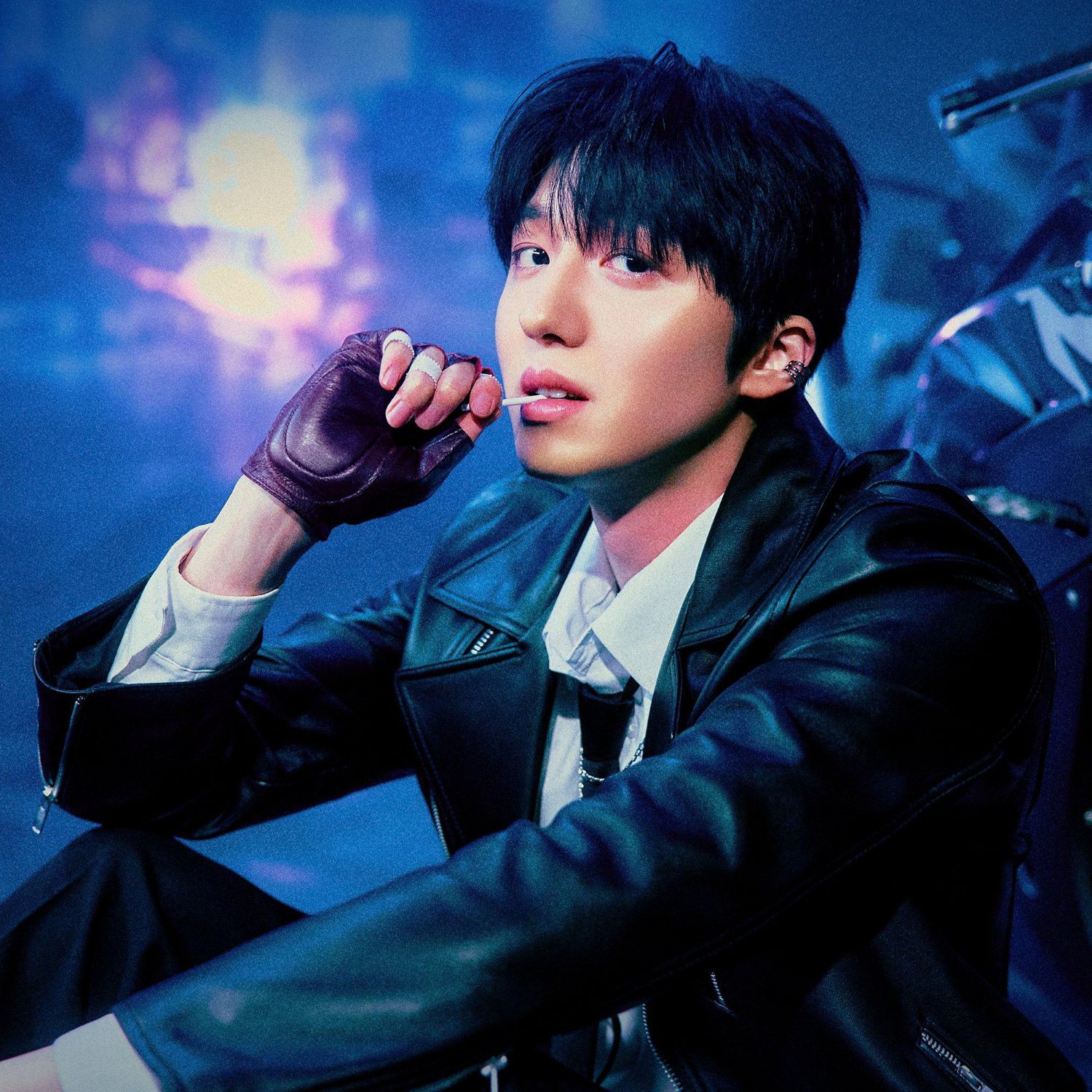 Recent activity shot of Chani