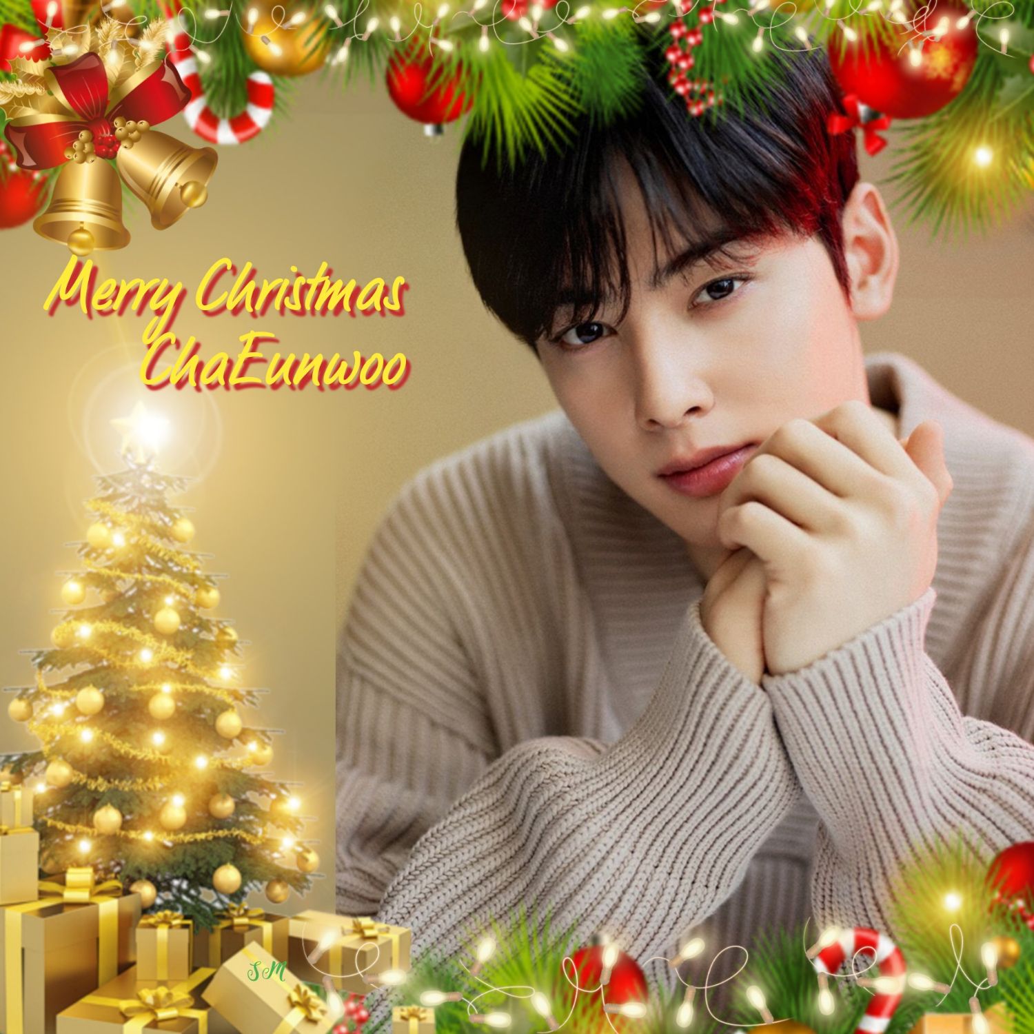 A moment captured by a fan of Cha Eunwoo