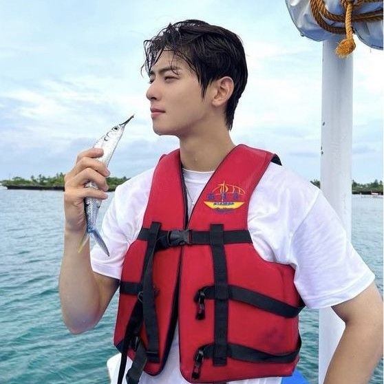 Recent activity shot of Cha Eunwoo