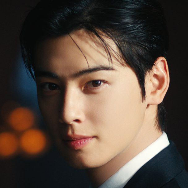 A moment captured by a fan of Cha Eunwoo