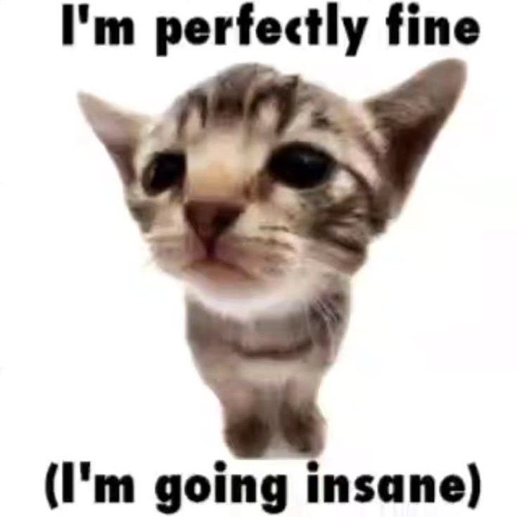 Behind-the-scenes cut of IU