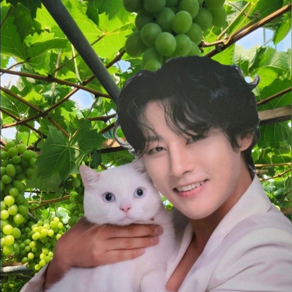 Latest photo of Kang Moonkyung