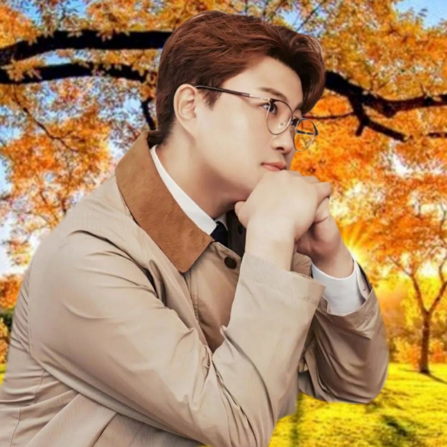 金浩中的最新照片