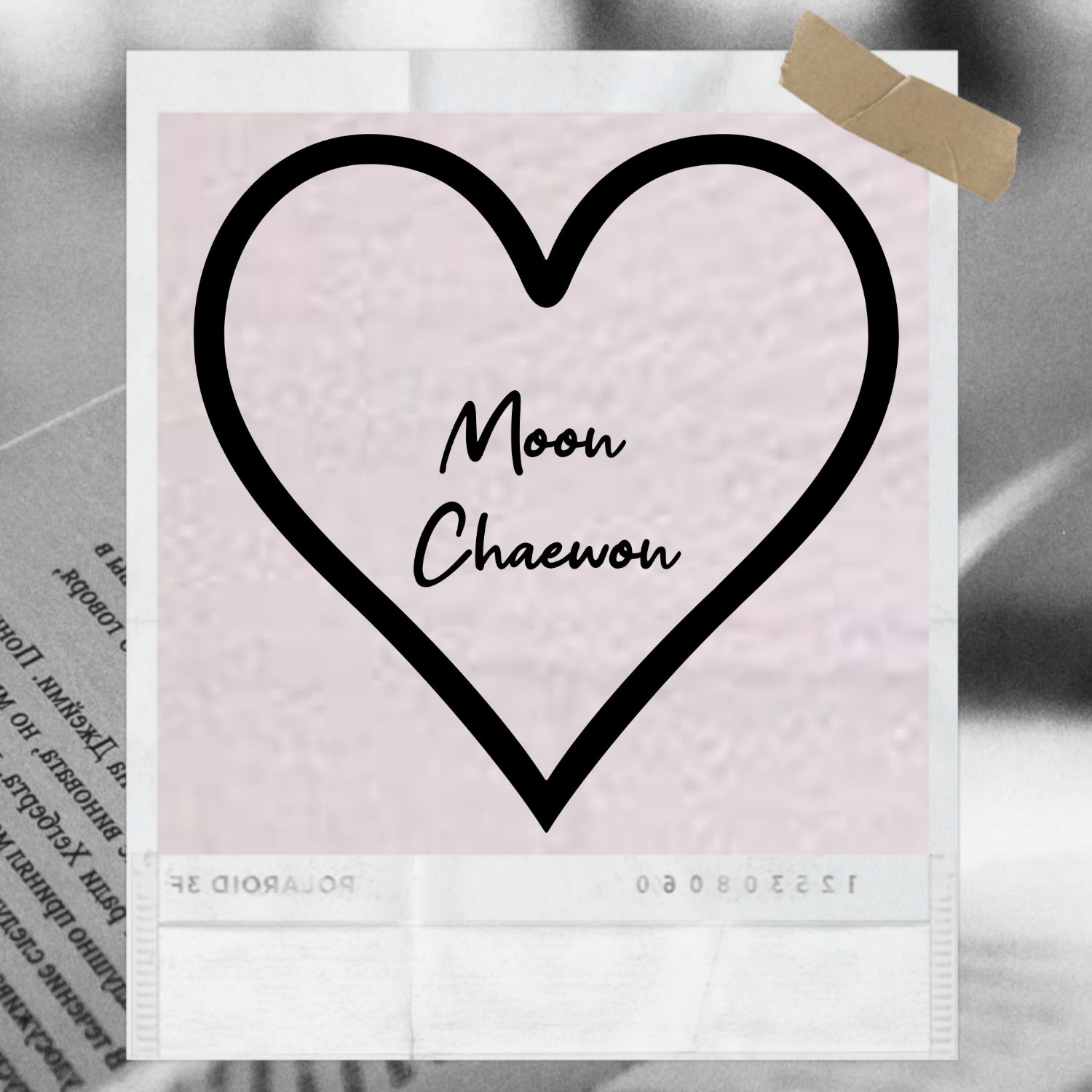 文彩元的近期活動照