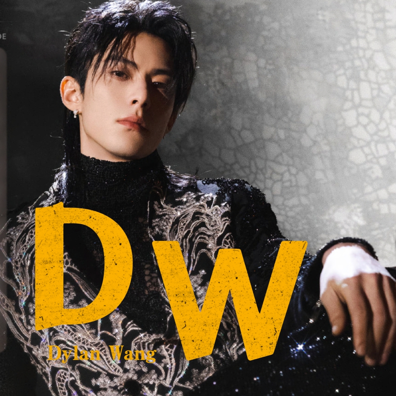 Recent activity shot of Dylan Wang