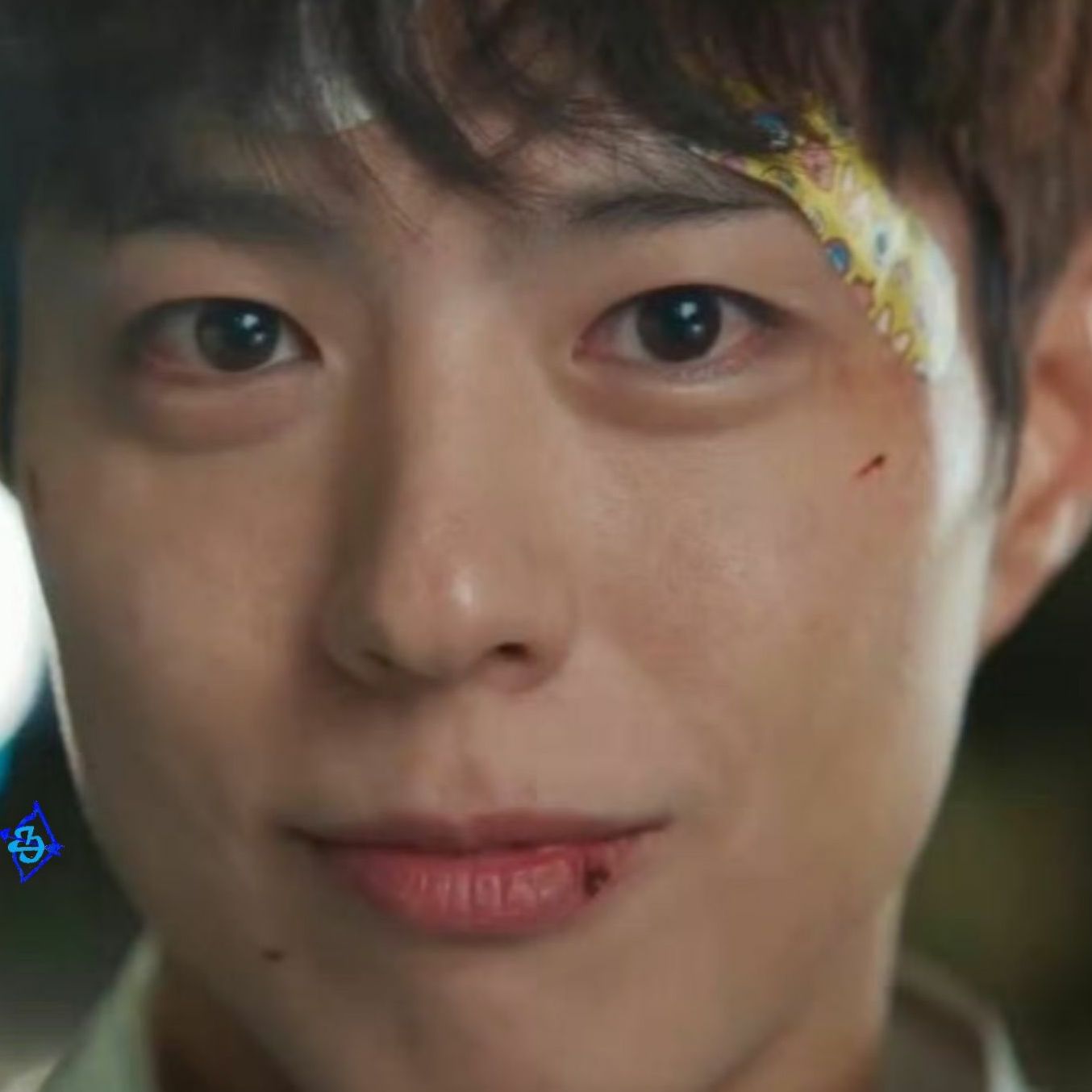 A moment captured by a fan of Park Bogum