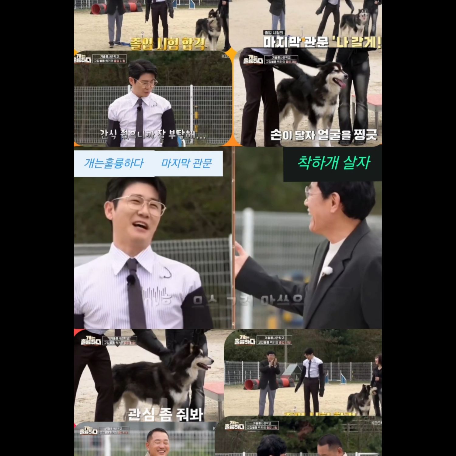 粉丝拍下的永卓瞬间