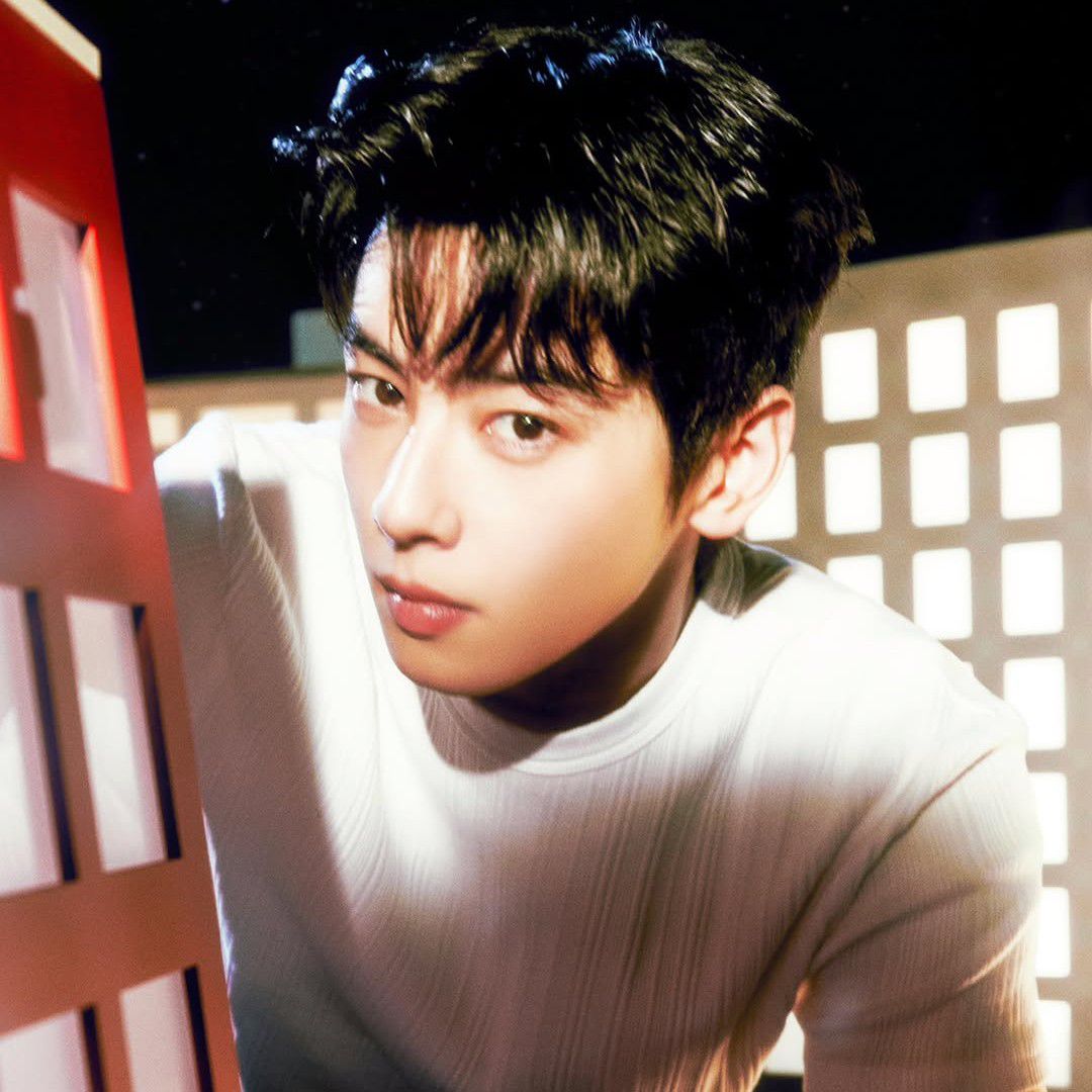 Recent activity shot of Cha Eunwoo