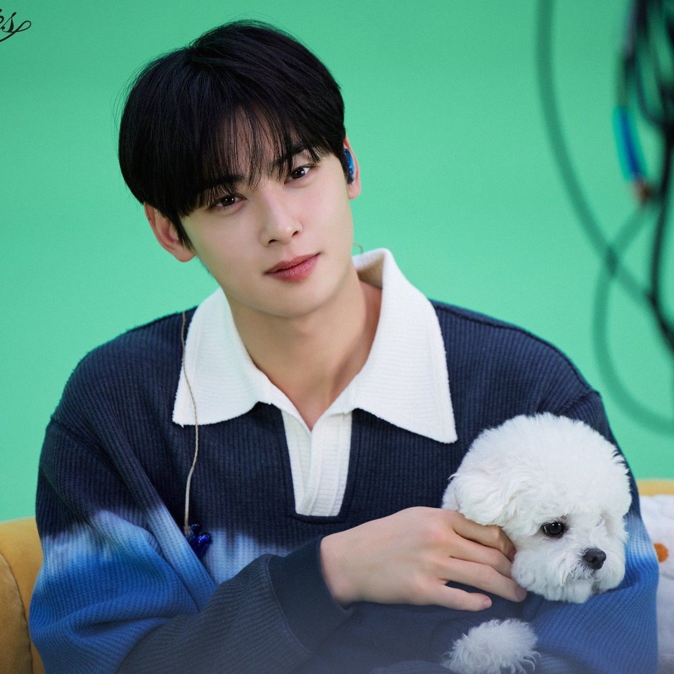 Latest photo of Cha Eunwoo