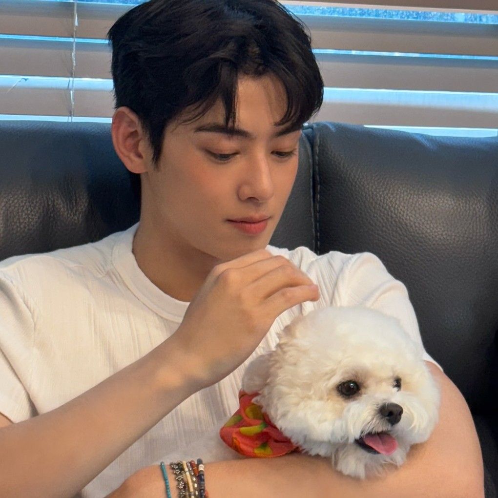 Recent activity shot of Cha Eunwoo