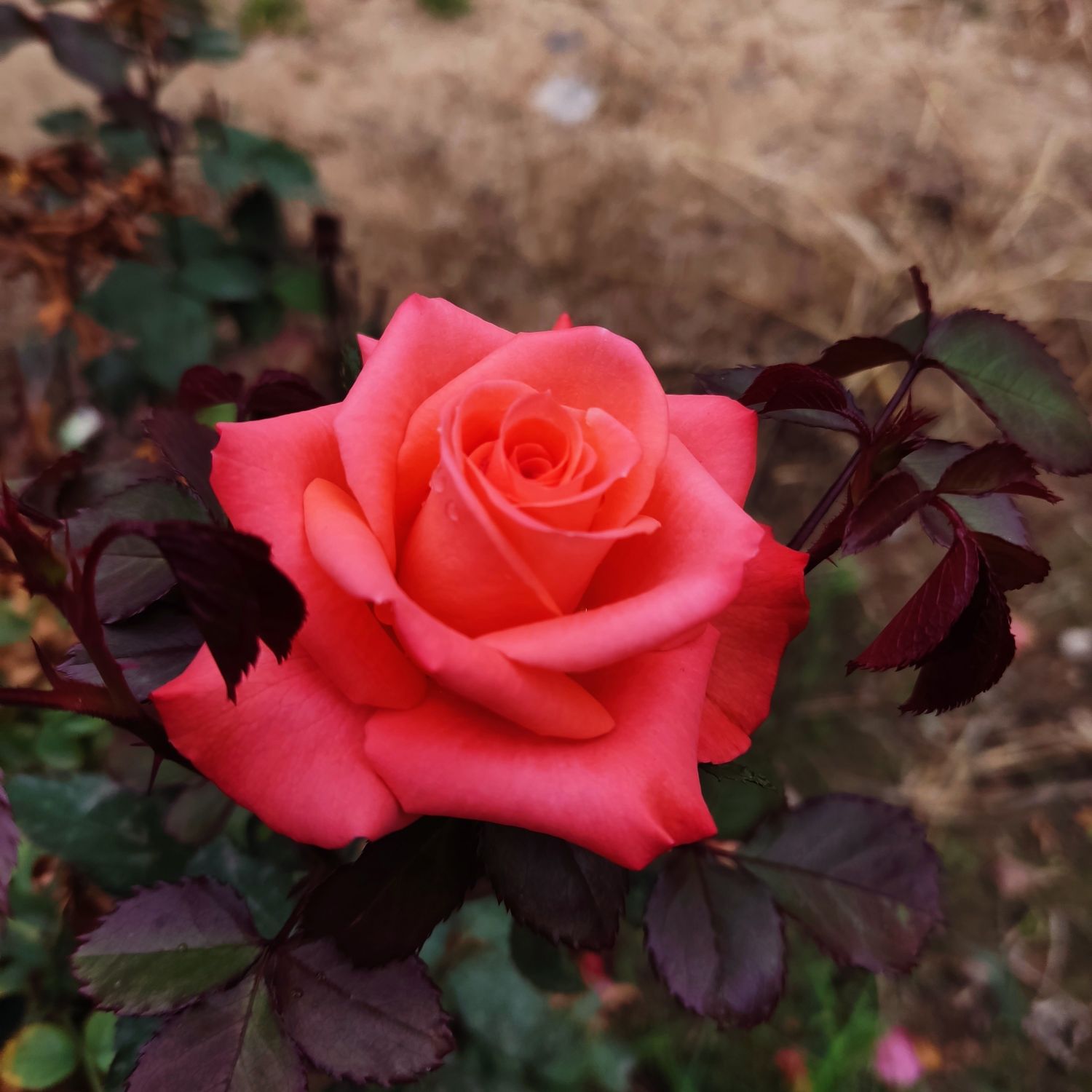 Behind-the-scenes cut of Doh Kyungsoo (D.O.)