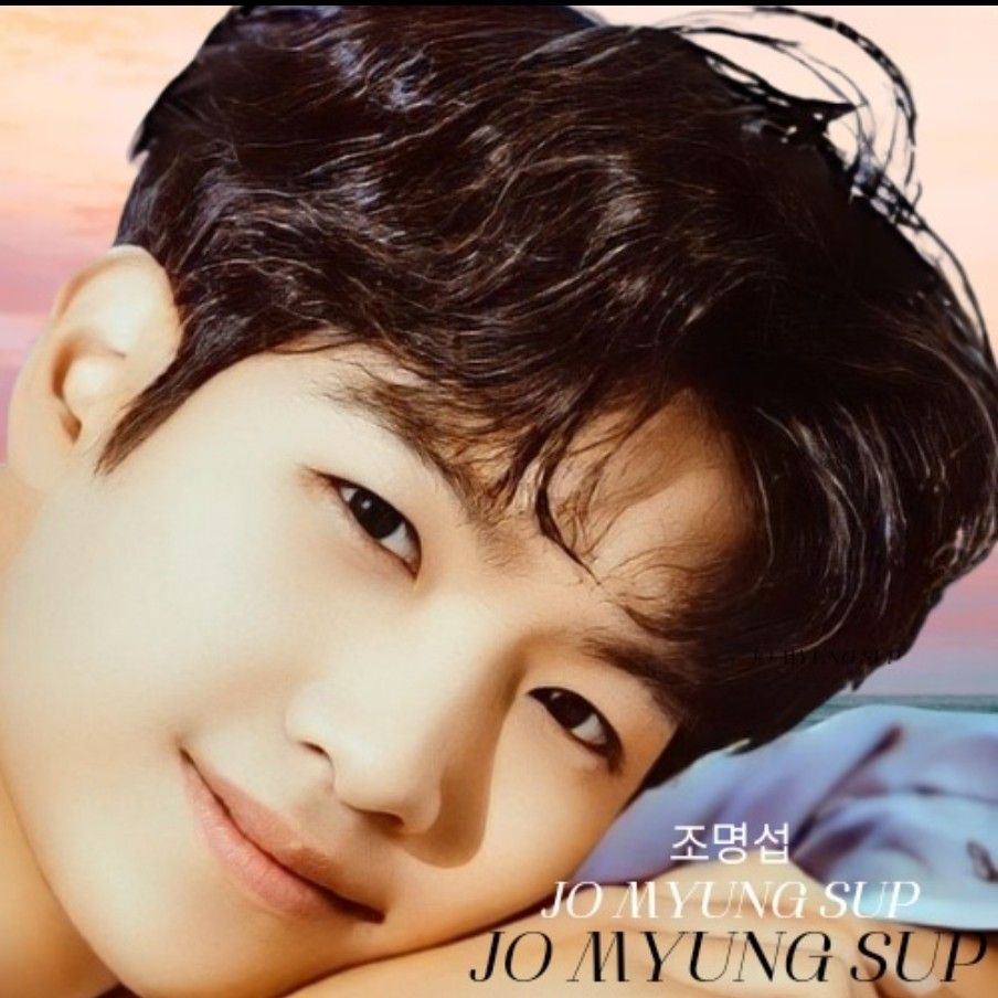 赵明燮的幕后花絮