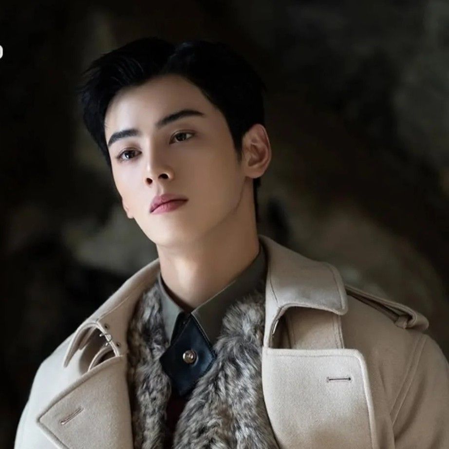 A moment captured by a fan of Cha Eunwoo