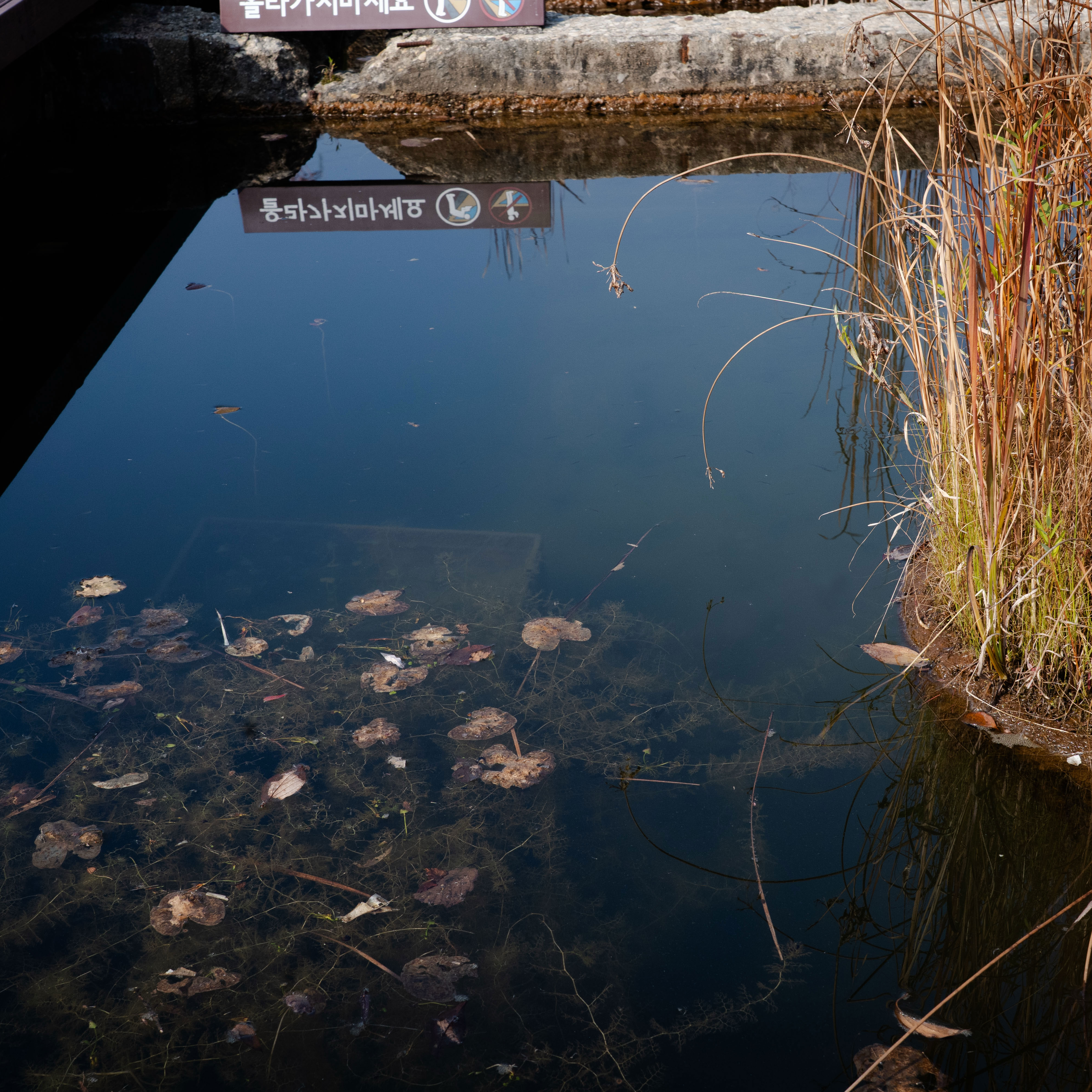 金宣虎的幕後花絮
