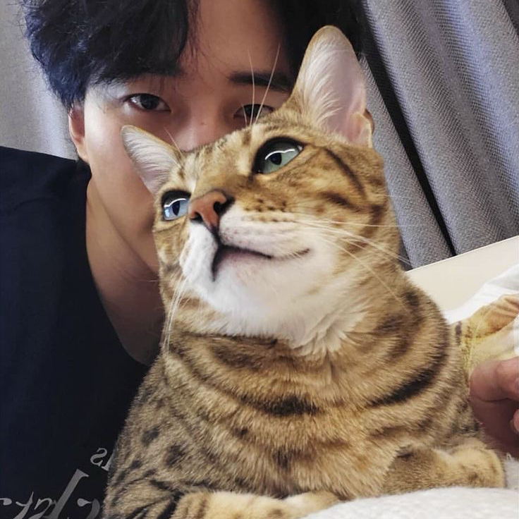 粉丝拍下的李俊昊瞬间