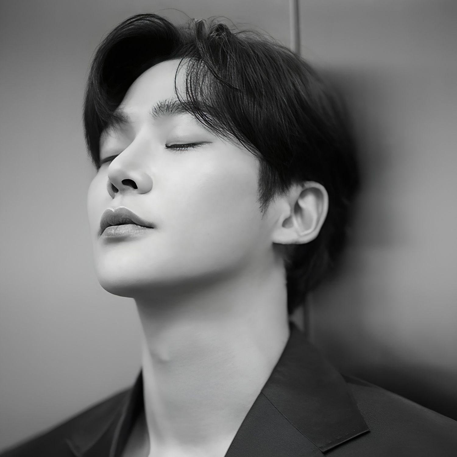 路雲的最新照片