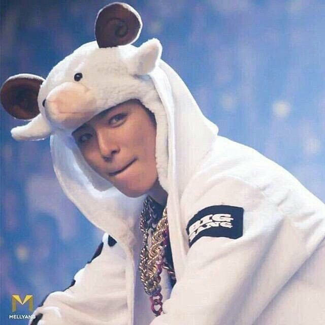 A moment captured by a fan of T.O.P