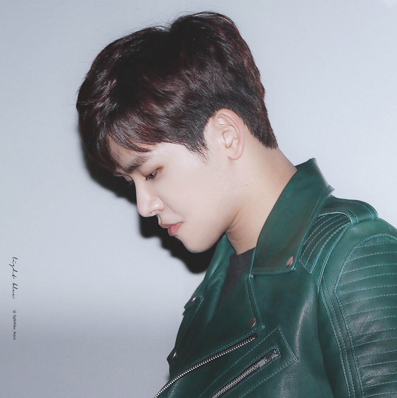 Latest photo of Hoya