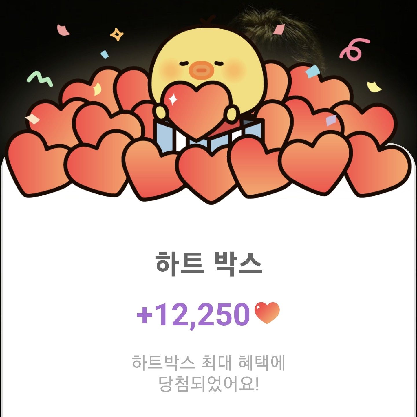 金熙栽的近期活动照