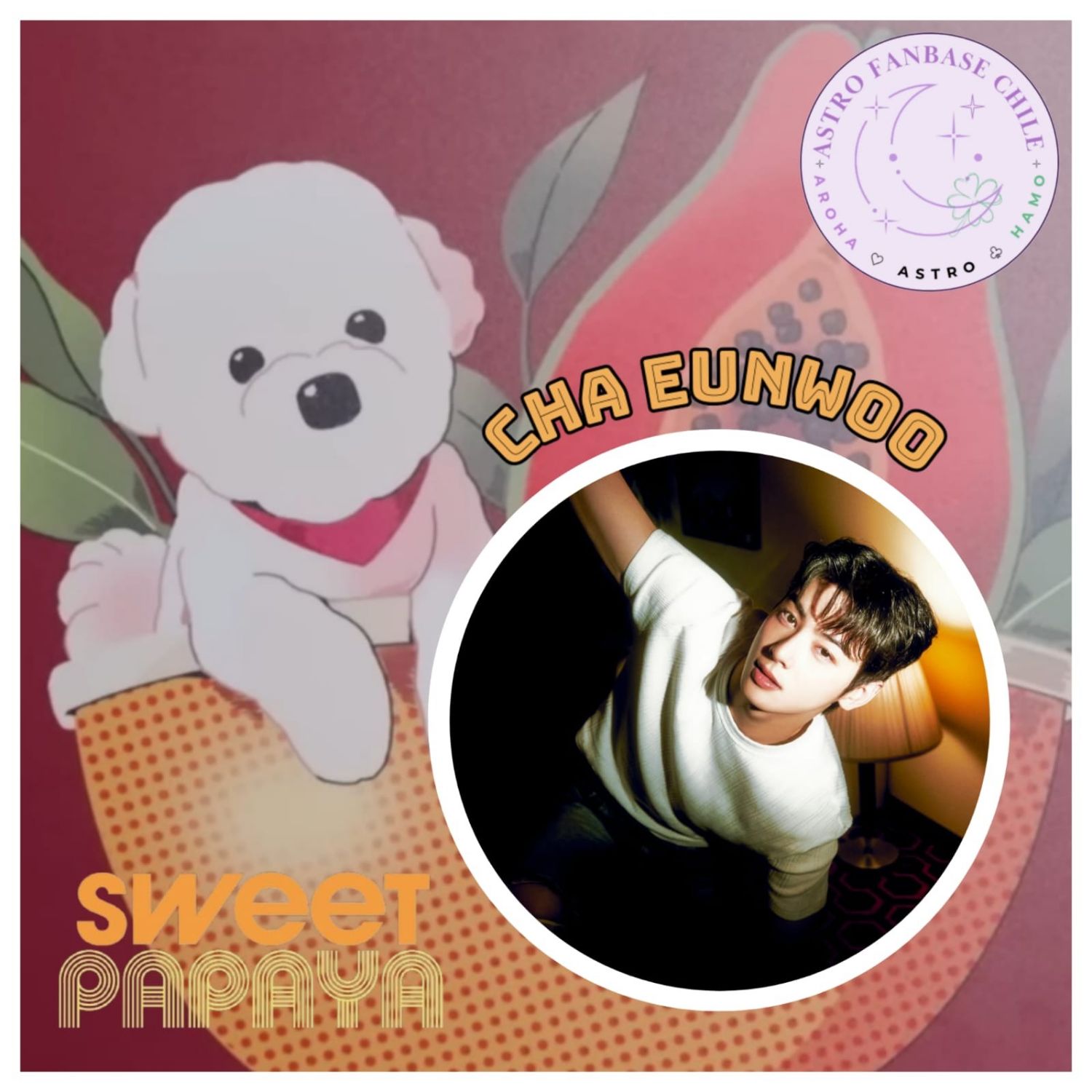 Momen yang diabadikan oleh penggemar Cha Eunwoo