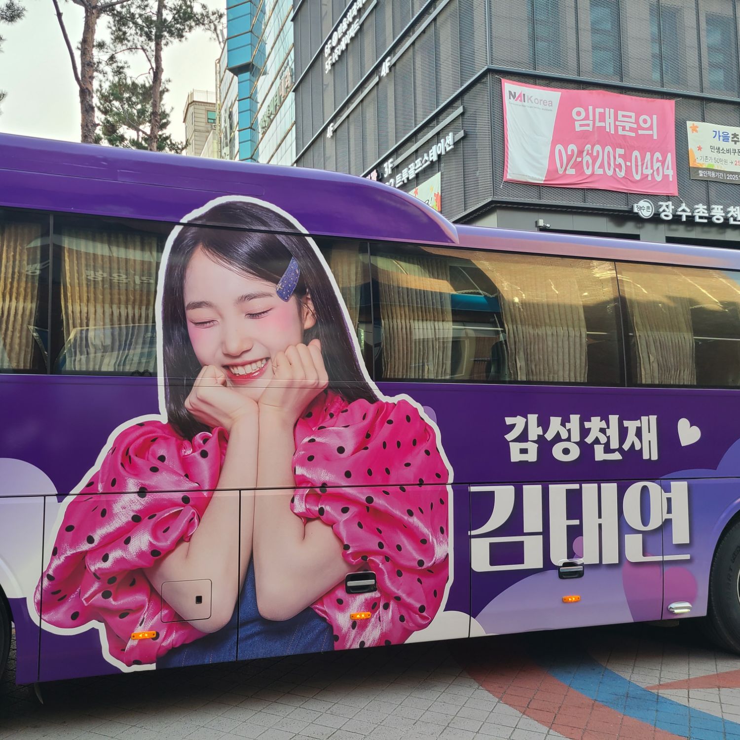 金泰延的近期活動照