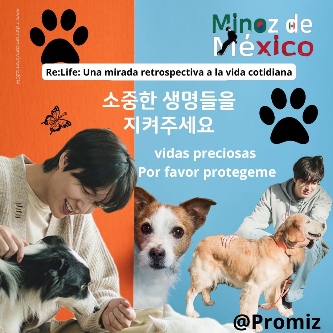이민호의 최신 사진