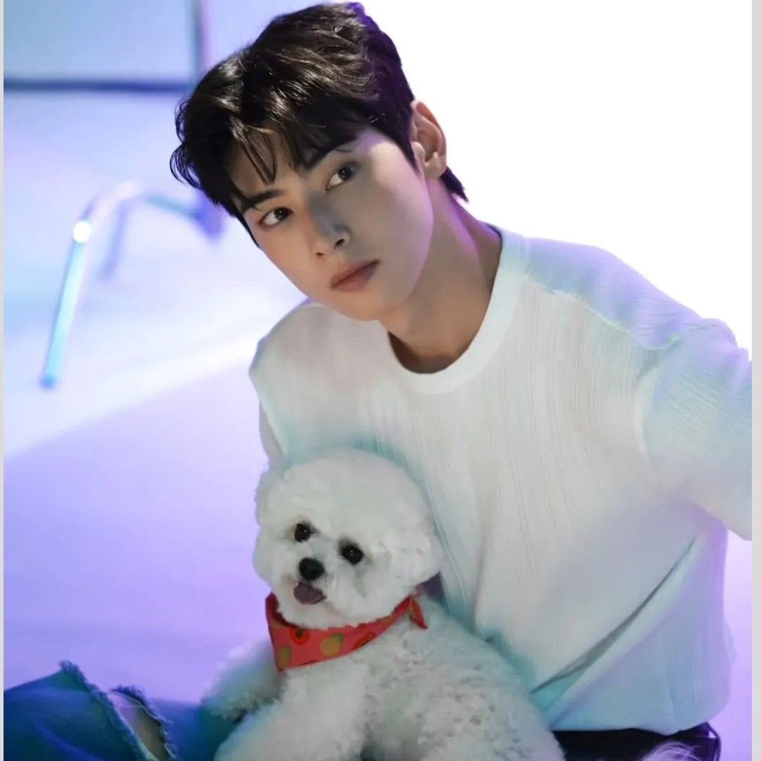 ファンが撮影したチャ・ウヌの瞬間