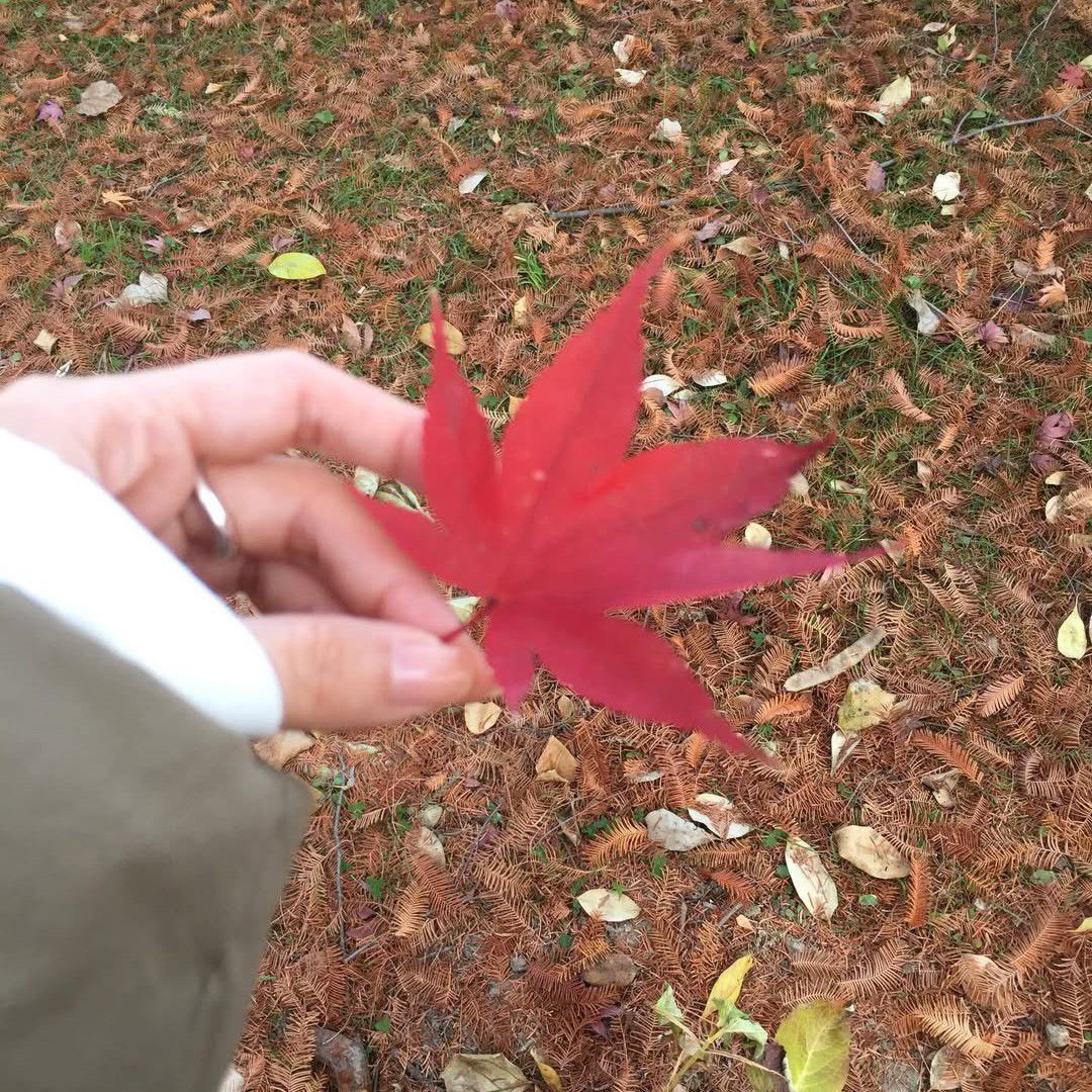 Recent activity shot of Jung Somin