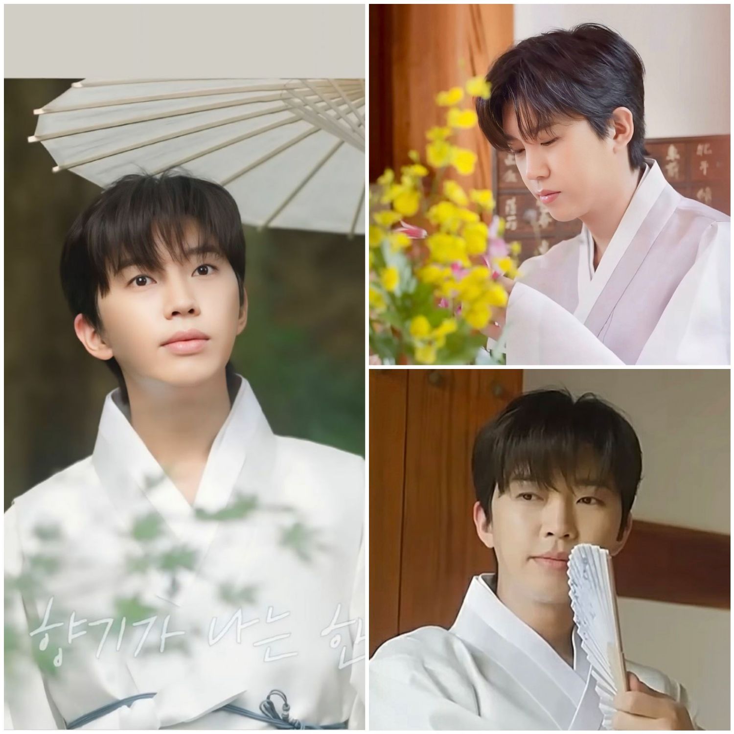 Foto kegiatan terbaru dari Lim Youngwoong