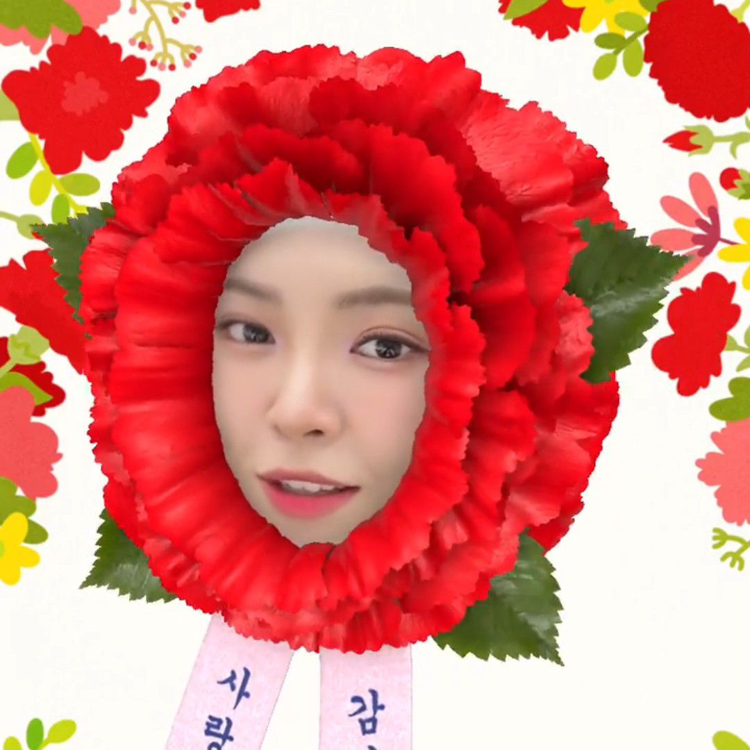 Recent activity shot of Miss Kim