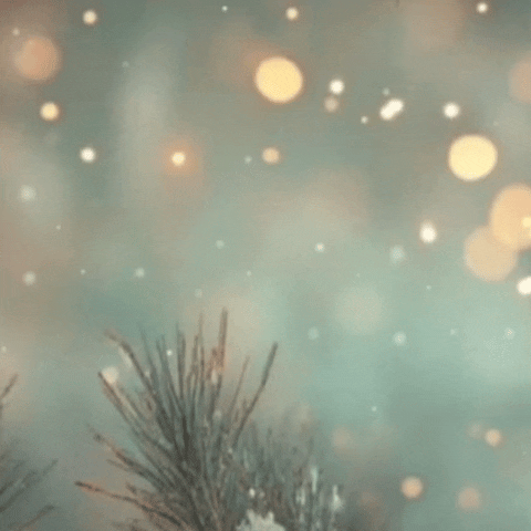 ファンが撮影した趙麗穎の瞬間