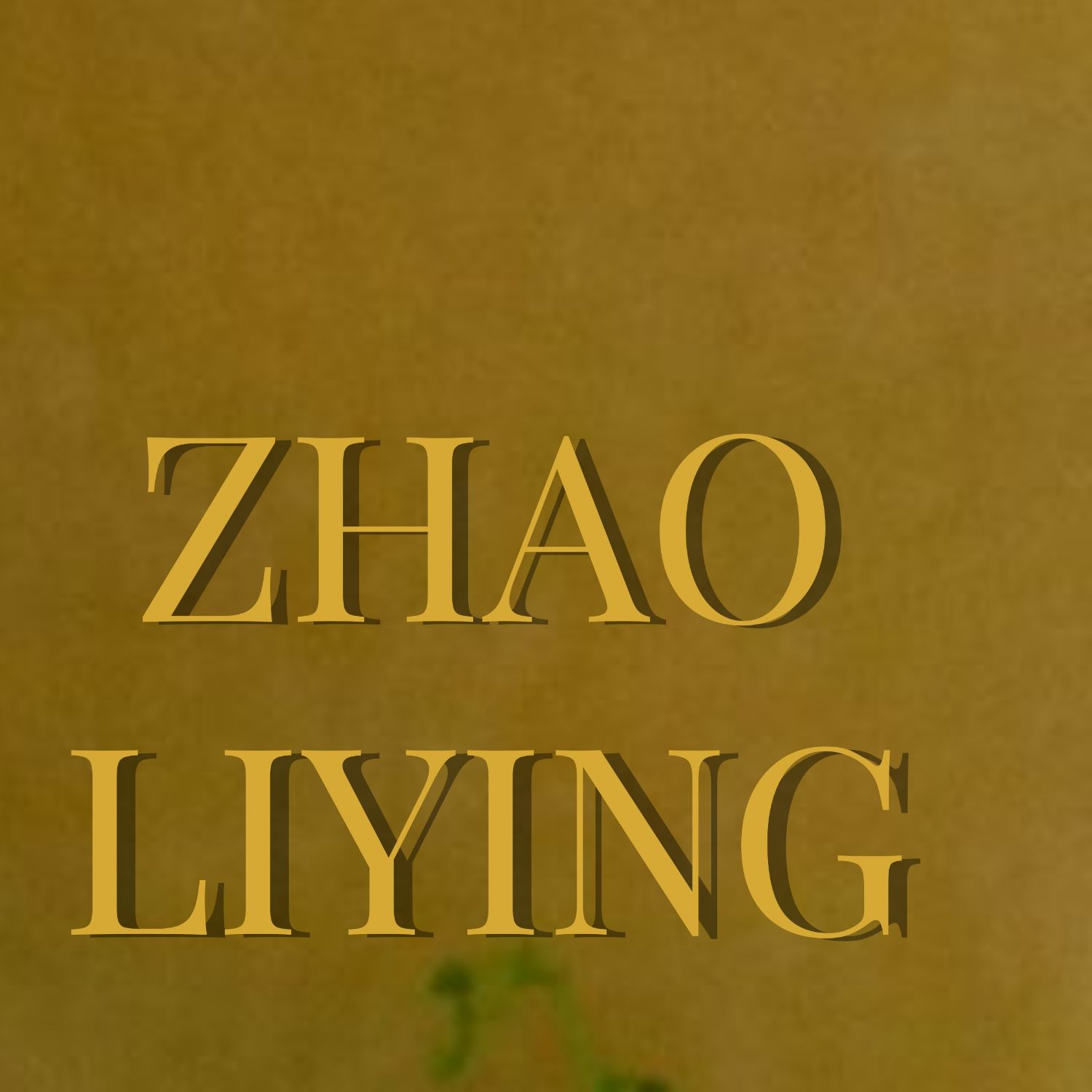 Recent activity shot of Zhao Liying