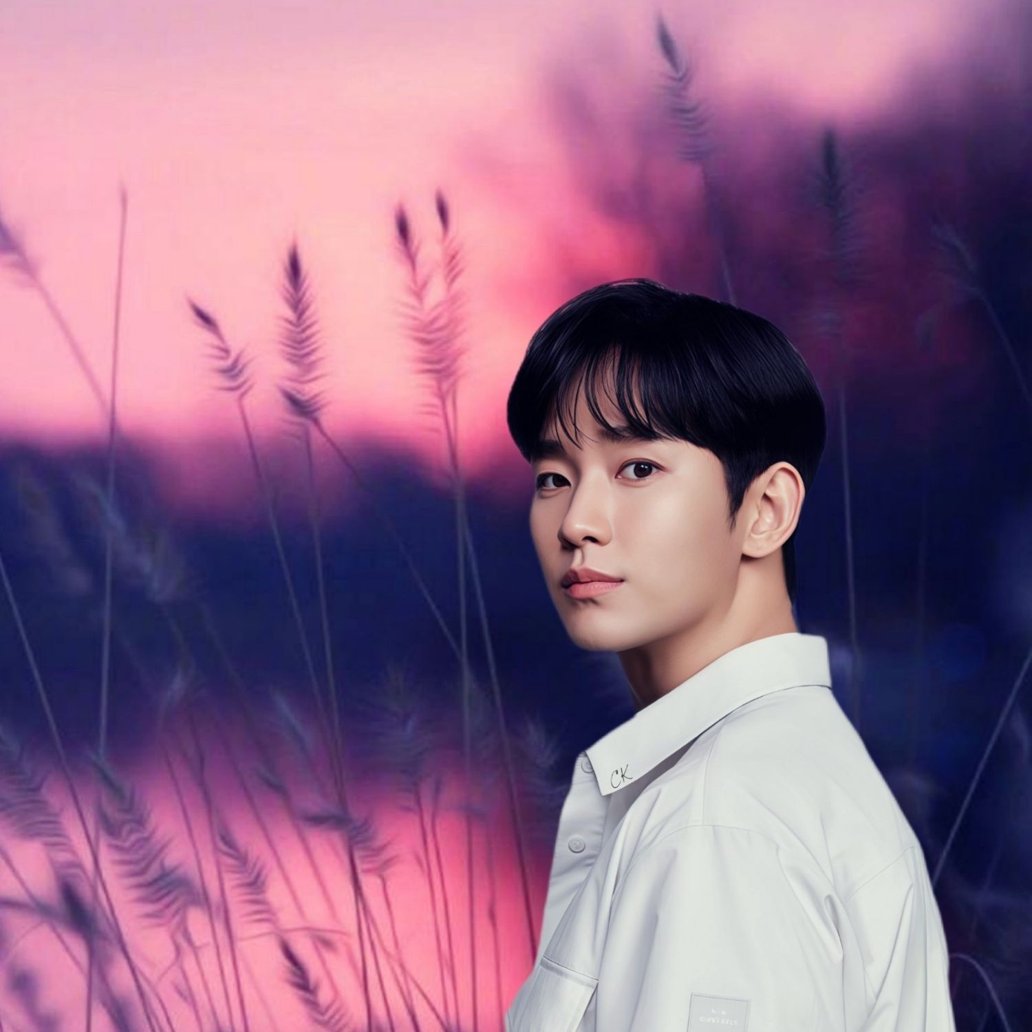 Behind-the-scenes cut of Kim Soohyun